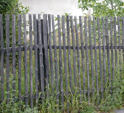 traditional fence made from small-diameter wood