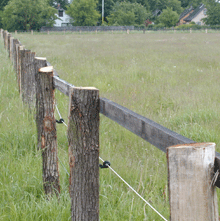 fencing of pasture land with fence posts from split oak timber